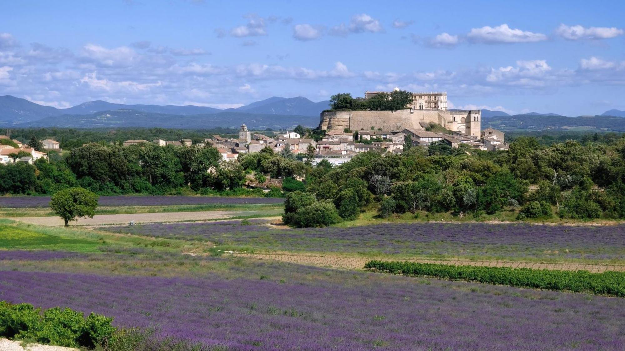 La Ferme Chapouton - Teritoria Hotell Grignan Exteriör bild